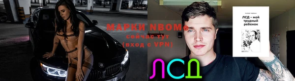 ALPHA PVP Белокуриха