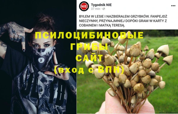 соль ск Богданович