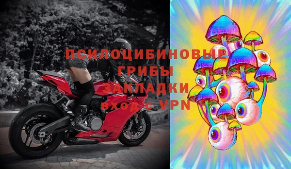 ПСИЛОЦИБИНОВЫЕ ГРИБЫ Белоозёрский