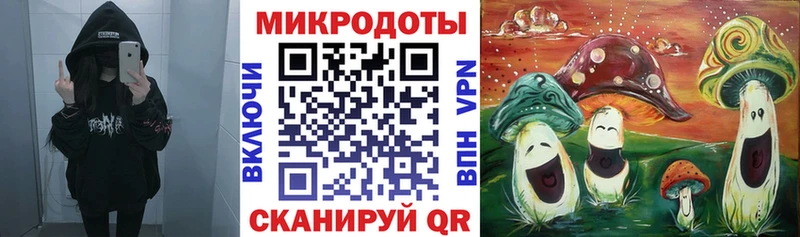 Галлюциногенные грибы Magic Shrooms  купить закладку  Болхов 